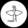 CNBB | Nacional